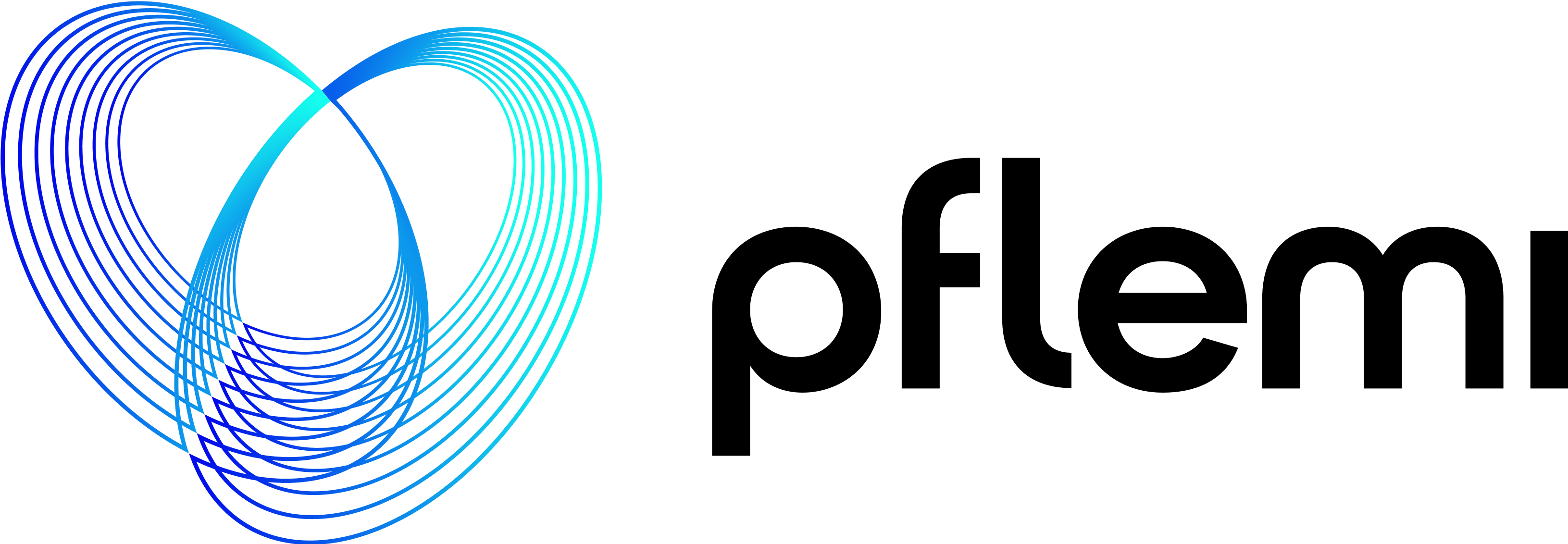 Pflemi Logo